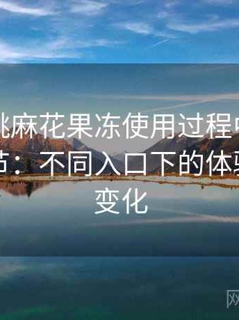 天美蜜桃麻花果冻使用过程中发现的一些细节：不同入口下的体验差异与变化