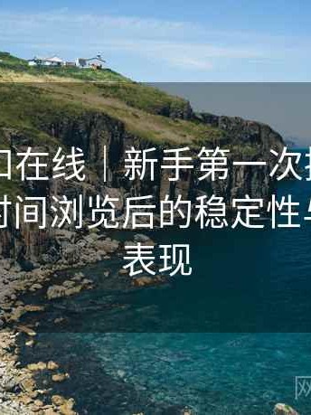白虎自扣在线｜新手第一次接触的记录：长时间浏览后的稳定性与流畅度表现