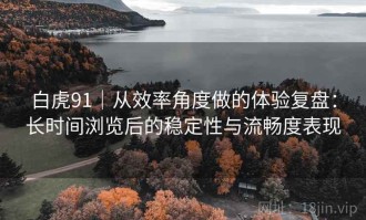白虎91｜从效率角度做的体验复盘：长时间浏览后的稳定性与流畅度表现