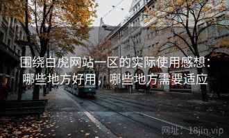 围绕白虎网站一区的实际使用感想：哪些地方好用，哪些地方需要适应