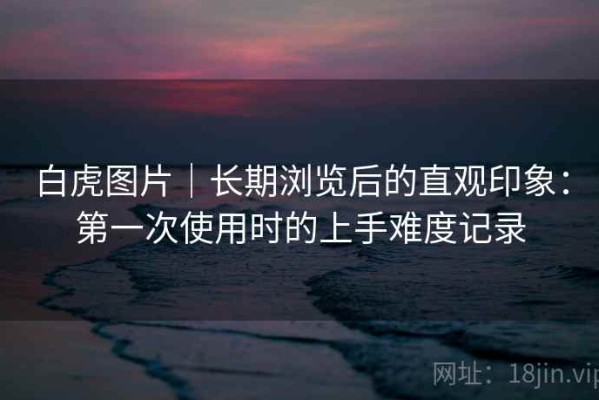 白虎图片｜长期浏览后的直观印象：第一次使用时的上手难度记录