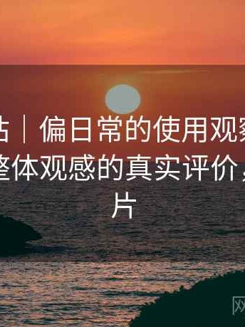 蘑菇网站｜偏日常的使用观察：视觉风格与整体观感的真实评价，蘑菇网片