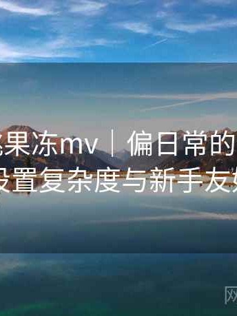 天美密桃果冻mv｜偏日常的使用观察：功能设置复杂度与新手友好度评估