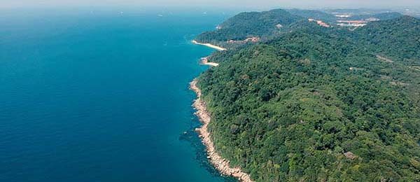 围绕天美影院的实际使用感想：反复使用后对整体体验的重新认识