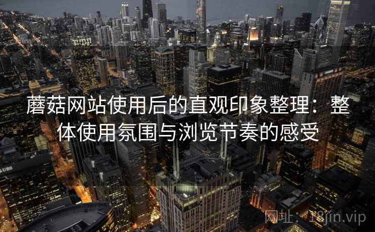 蘑菇网站使用后的直观印象整理：整体使用氛围与浏览节奏的感受