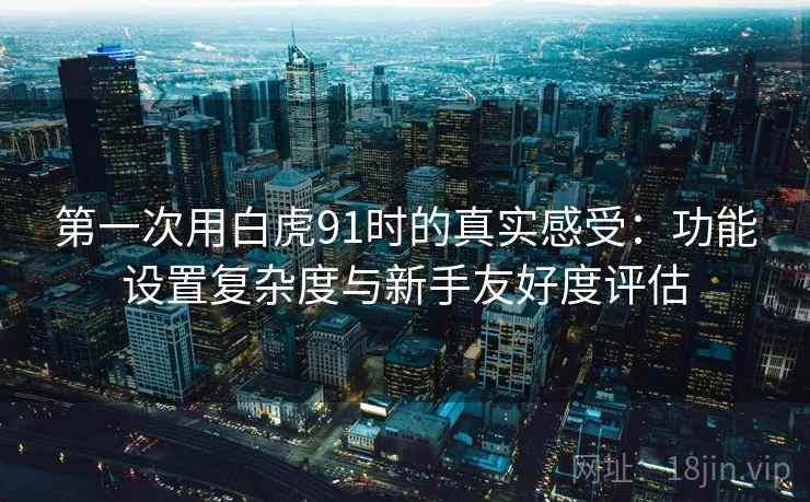 第一次用白虎91时的真实感受：功能设置复杂度与新手友好度评估