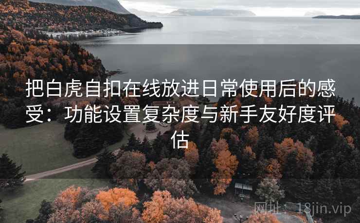 把白虎自扣在线放进日常使用后的感受：功能设置复杂度与新手友好度评估