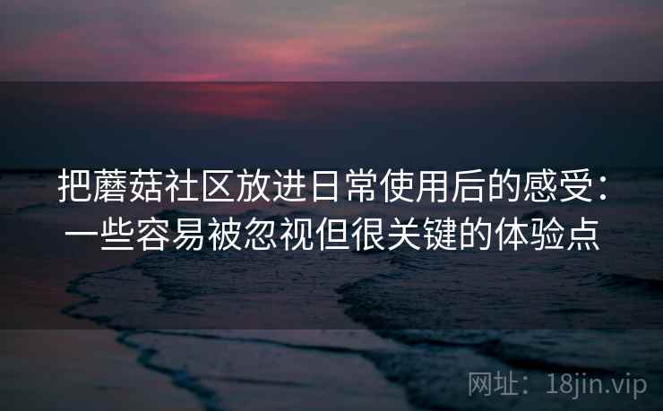 把蘑菇社区放进日常使用后的感受:一些容易被忽视但很关键的体验点 把蘑菇社区放进日常使用后的感受:一些容易被忽视但很关键的体验点