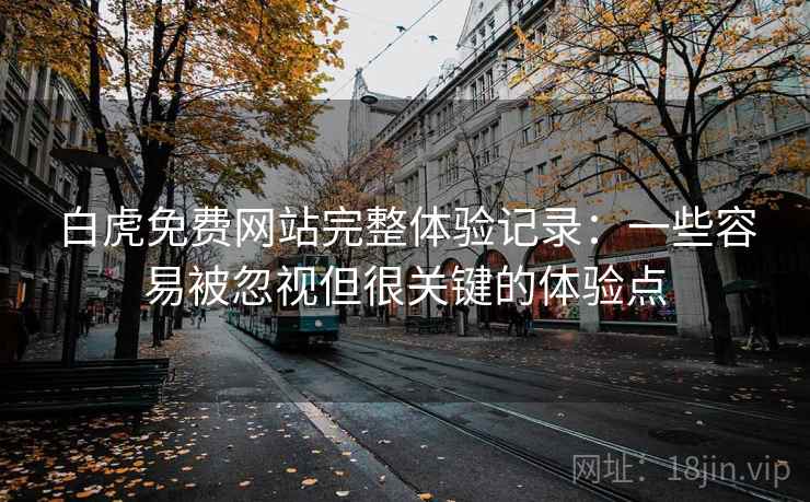 白虎免费网站完整体验记录：一些容易被忽视但很关键的体验点