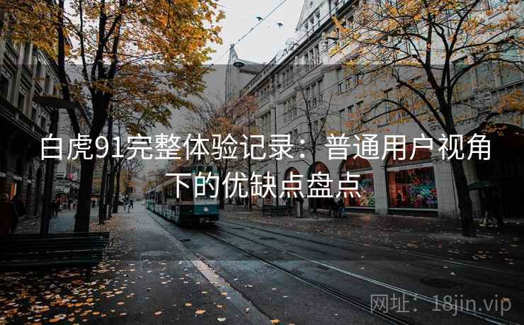 白虎91完整体验记录：普通用户视角下的优缺点盘点