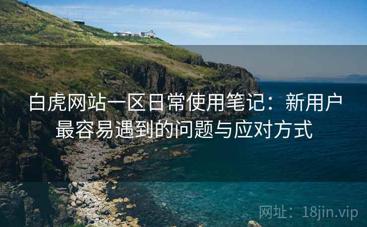 白虎网站一区日常使用笔记：新用户最容易遇到的问题与应对方式