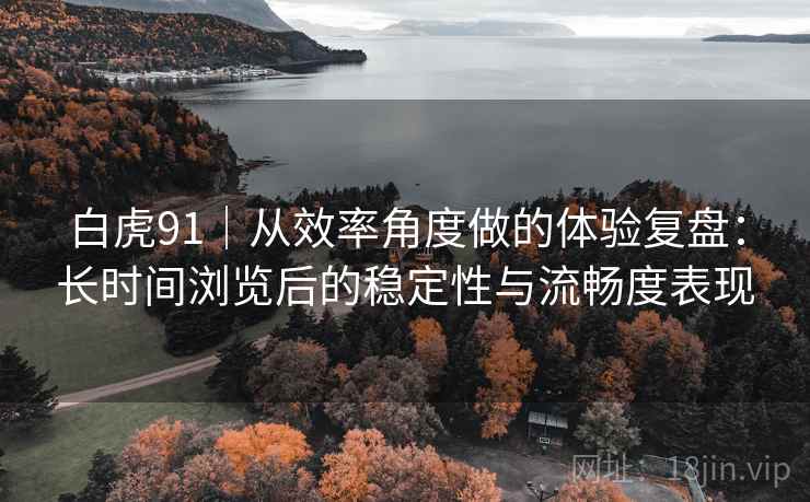 白虎91|从效率角度做的体验复盘:长时间浏览后的稳定性与流畅度表现 白虎91|从效率角度做的体验复盘:长时间浏览后的稳定性与流畅度表现