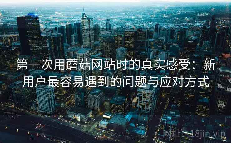 第一次用蘑菇网站时的真实感受:新用户最容易遇到的问题与应对方式 第一次用蘑菇网站时的真实感受:新用户最容易遇到的问题与应对方式