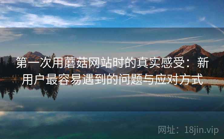 第一次用蘑菇网站时的真实感受:新用户最容易遇到的问题与应对方式 第一次用蘑菇网站时的真实感受:新用户最容易遇到的问题与应对方式