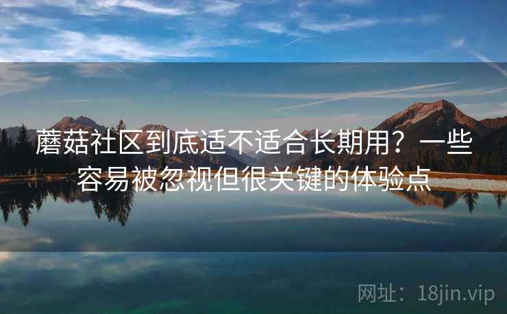 蘑菇社区到底适不适合长期用?一些容易被忽视但很关键的体验点 蘑菇社区到底适不适合长期用?一些容易被忽视但很关键的体验点