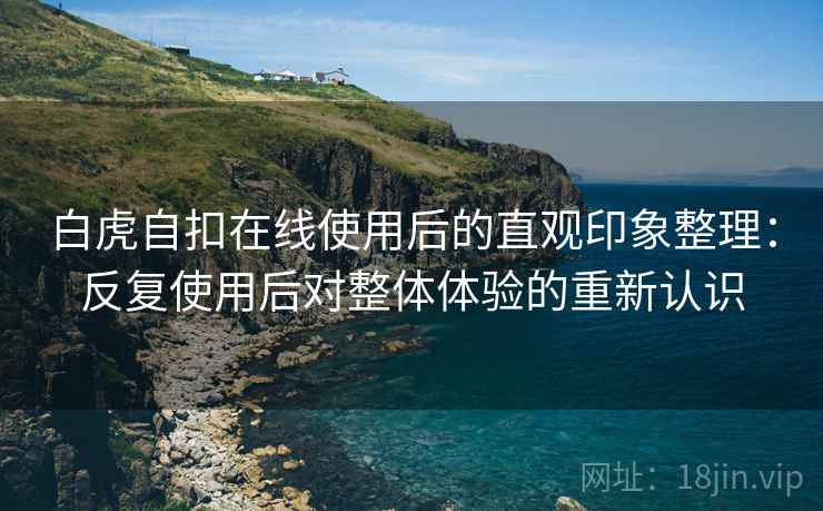 白虎自扣在线使用后的直观印象整理：反复使用后对整体体验的重新认识