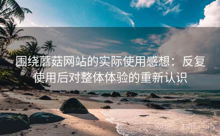 围绕蘑菇网站的实际使用感想：反复使用后对整体体验的重新认识