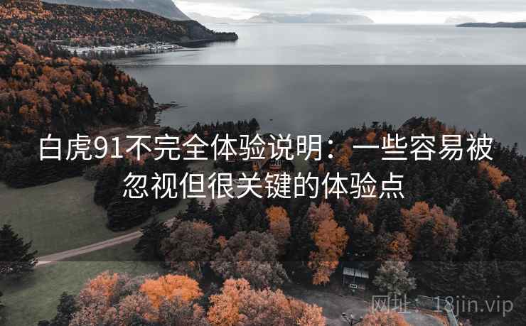 白虎91不完全体验说明：一些容易被忽视但很关键的体验点