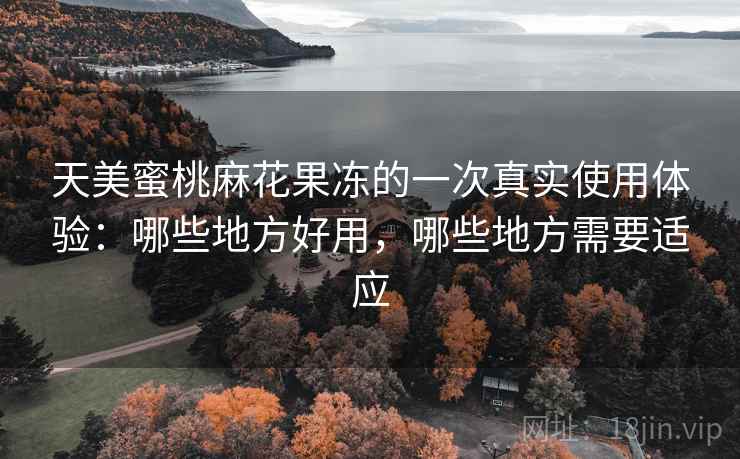 天美蜜桃麻花果冻的一次真实使用体验:哪些地方好用,哪些地方需要适应 天美蜜桃麻花果冻的一次真实使用体验:哪些地方好用,哪些地方需要适应