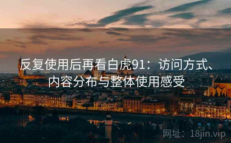 反复使用后再看白虎91:访问方式、内容分布与整体使用感受 反复使用后再看白虎91:访问方式、内容分布与整体使用感受